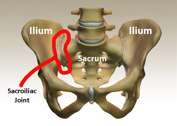 SI Joint - Regional Spine